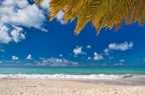 Antigua - Runaway Beach and Palm Leafs