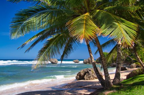 Barbados - Bathsheba Beach