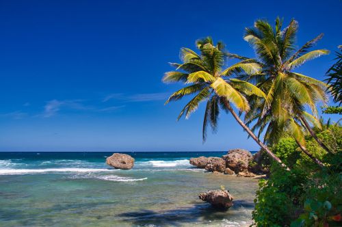 Barbados - Bathsheba Beach