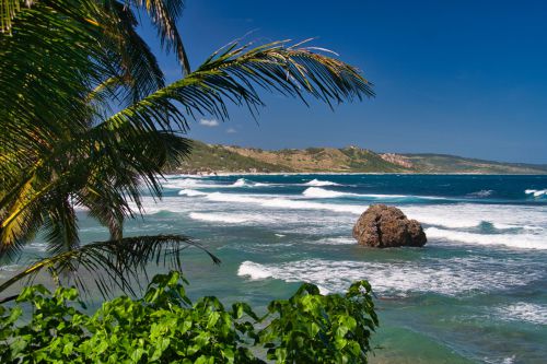 Barbados - Bathsheba Beach
