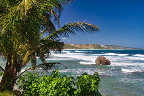 Barbados - Bathsheba Beach