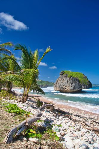 Barbados - Bathsheba Beach