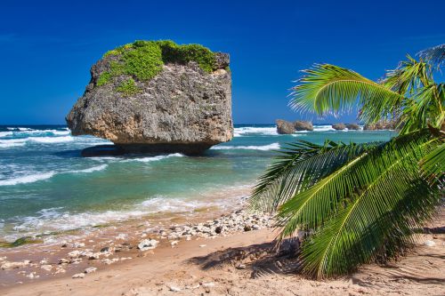 Barbados - Bathsheba Beach