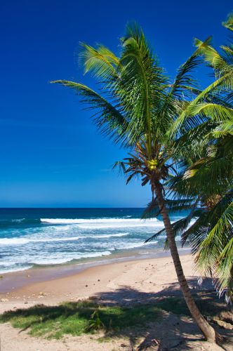 Barbados - Bathsheba Beach