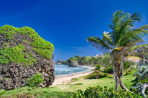 Barbados - Bathsheba Beach