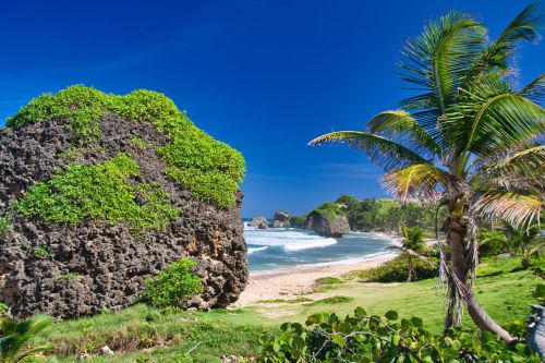 Barbados - Bathsheba Beach