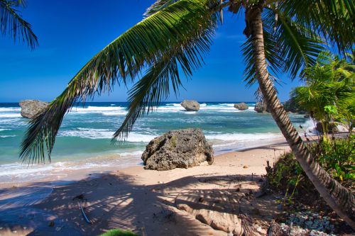 Barbados - Bathsheba Beach