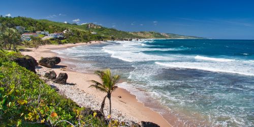 Barbados - Bathsheba Beach