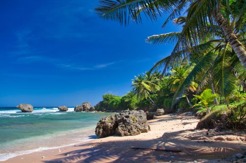 Barbados - Bathsheba Beach