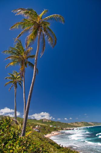 Barbados - Bathsheba Beach - Coastline
