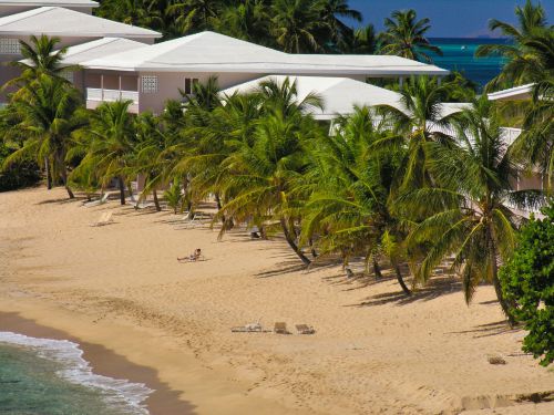 Caribbean - Antigua - Caribbean Beach and Vacation Buildings