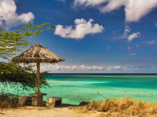 Caribbean - Aruba - Beach and Parasol