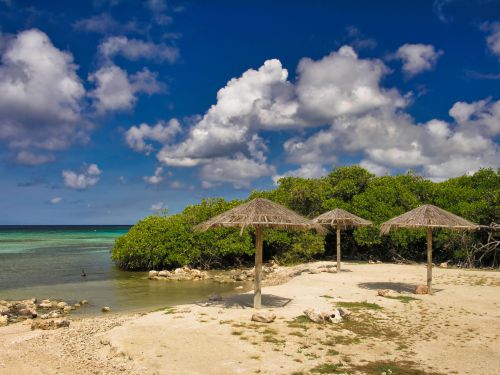 Caribbean - Aruba - Beach and Parasols