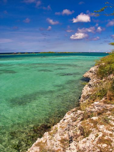Caribbean - Aruba - Coastline