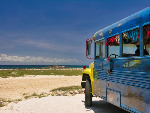 Caribbean - Aruba - Colorful Excursion Bus on the Beach