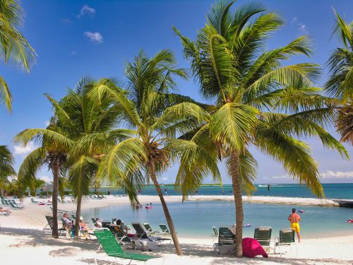 Caribbean - Aruba - Oranjestad - Renaissance Beach with Palm Trees