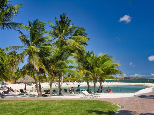 Caribbean - Aruba - Oranjestad - Renaissance Beach with Palm Trees