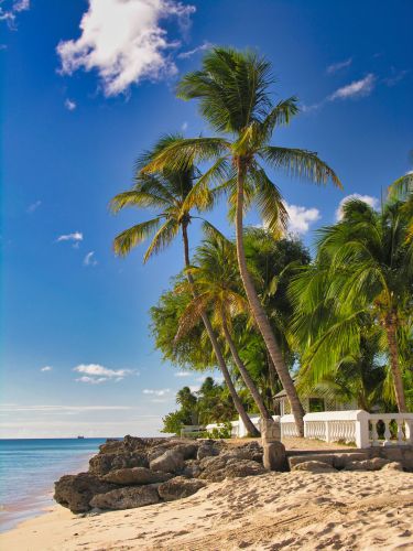 Caribbean - Barbados - Brighton Beach