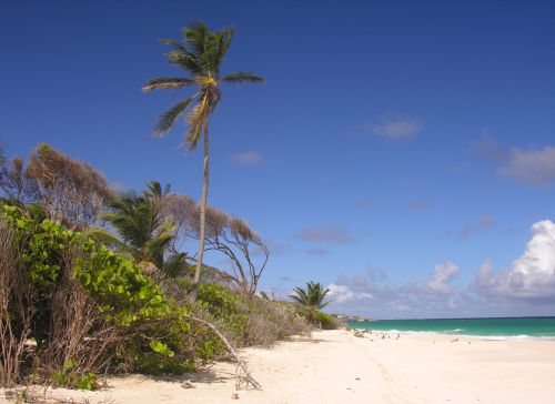 Caribbean - Barbados - Crane Beach
