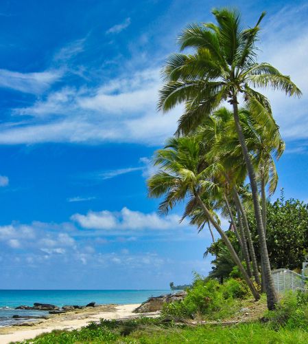 Caribbean - U.S. Virgin Islands - St. Croix - Frederiksted - Beach