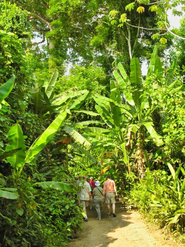 Central America - Costa Rica - Hiking Group in the Rainforest
