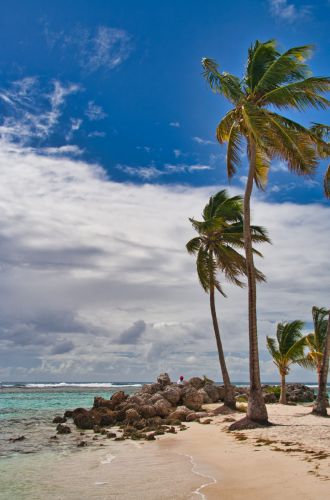 Guadeloupe - Sainte Anne - Beach - Plage de Sainte Anne