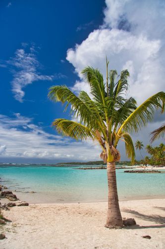 Guadeloupe - Sainte Anne - Beach - Plage de Sainte Anne
