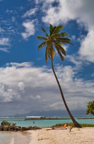 Guadeloupe - Sainte Anne - Beach - Plage de Sainte Anne