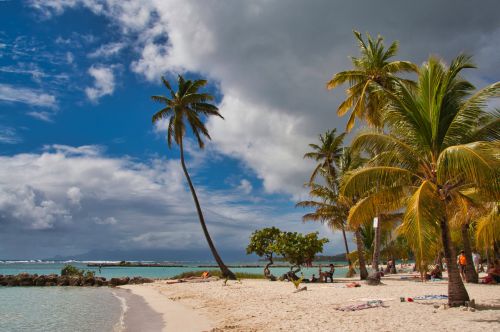 Guadeloupe - Sainte Anne - Beach - Plage de Sainte Anne