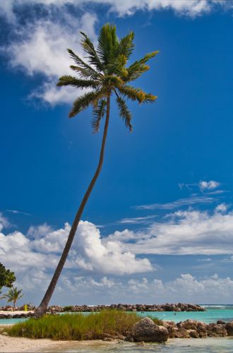 Guadeloupe - Sainte Anne - Beach - Plage de Sainte Anne