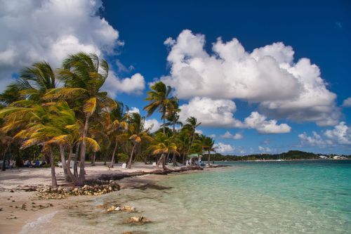 Guadeloupe - Sainte Anne - Beach - Plage de la Caravelle