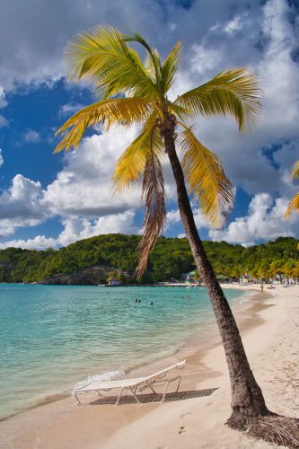 Guadeloupe - Sainte Anne - Beach - Plage de la Caravelle - Sun Lounger under a Palm Tree