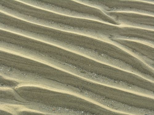 North Sea Seabed at low Tide