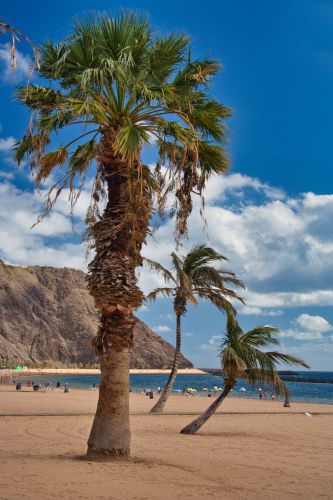 Tenerife - Santa Cruz - Playa de las Teresitas