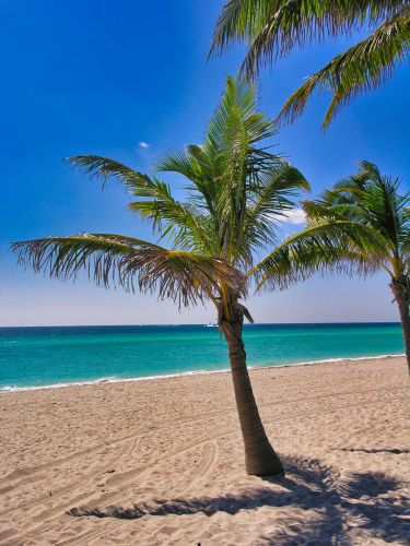 USA - Florida - Fort Lauderdale - Beach