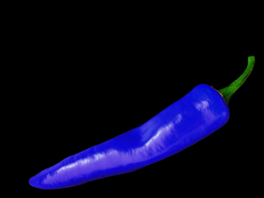 Blue Chili