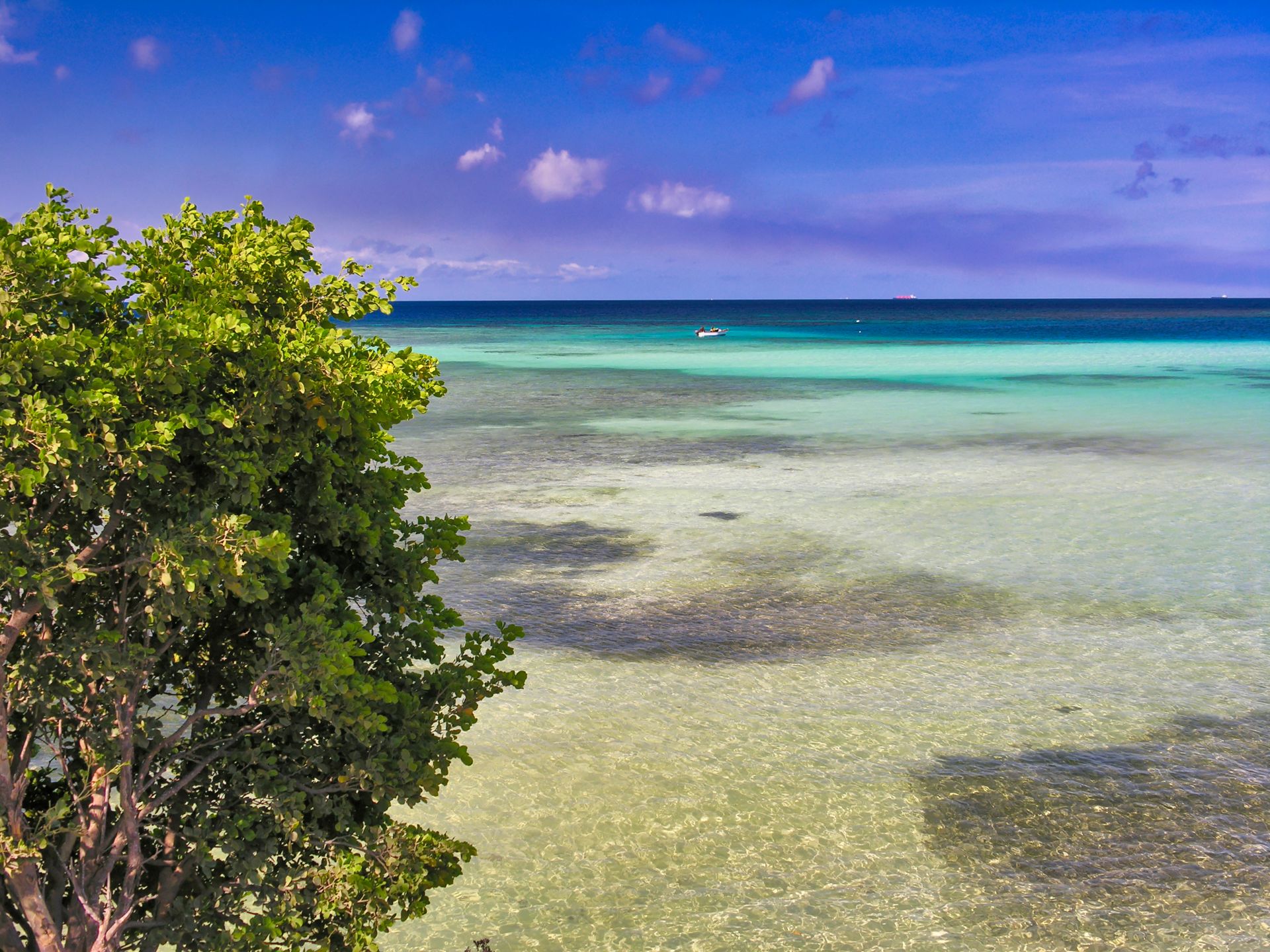 Caribbean - Aruba - Beach and Busch