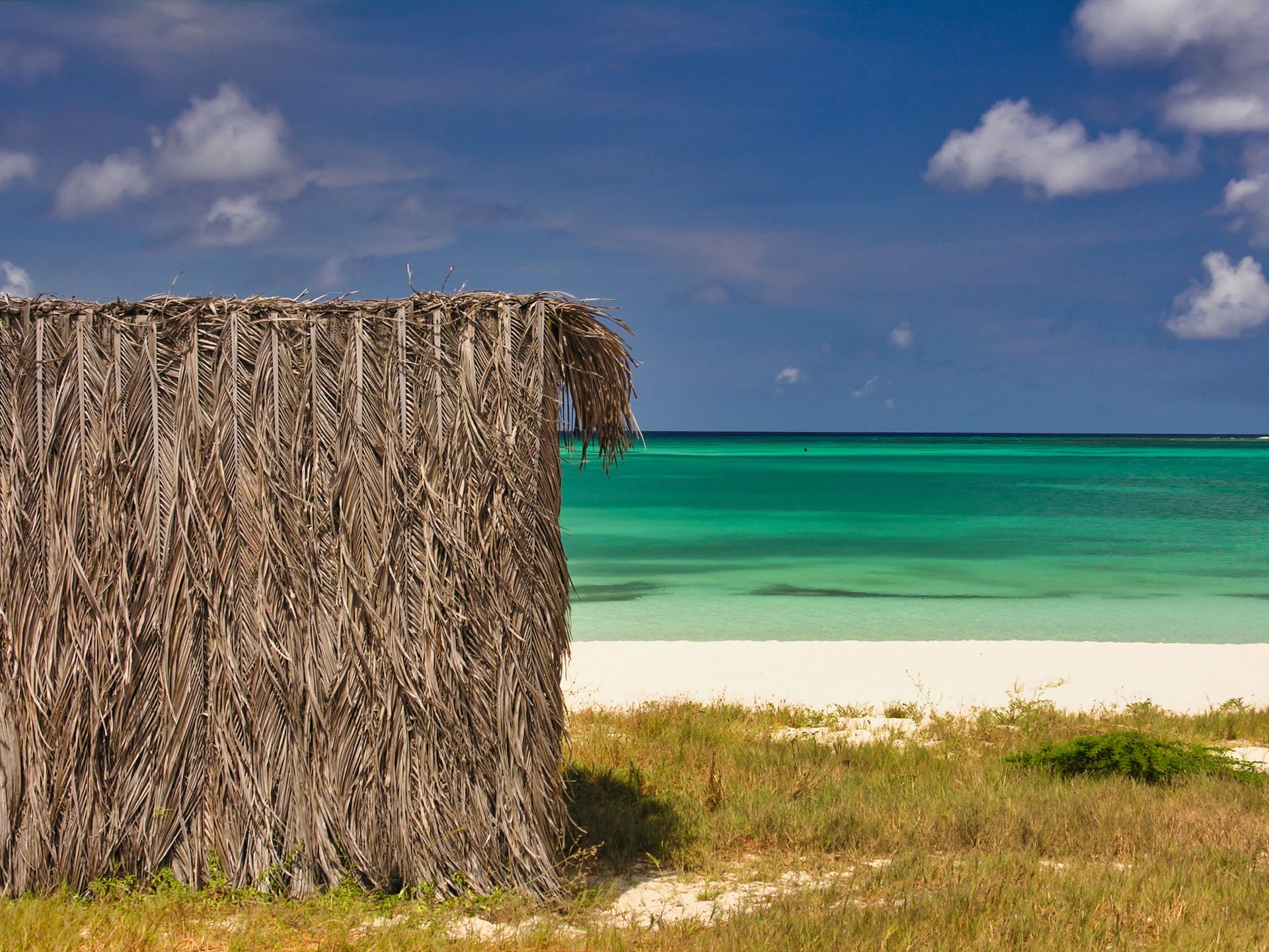 Caribbean - Aruba - Rodger's Beach with Sun Shade