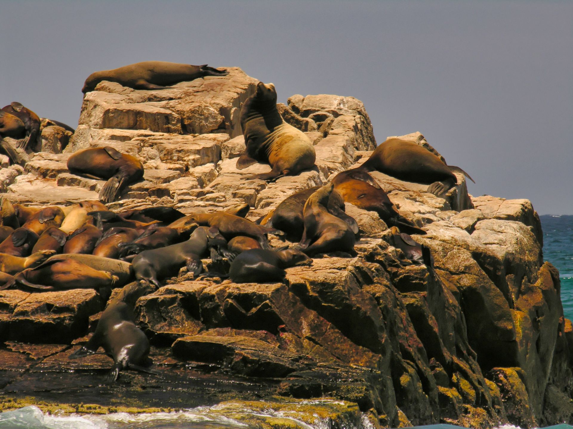 Mexico - Cabo San Lucas - Coastline - El Arco de Cabo San Lucas - Sea Lions on the Rocks