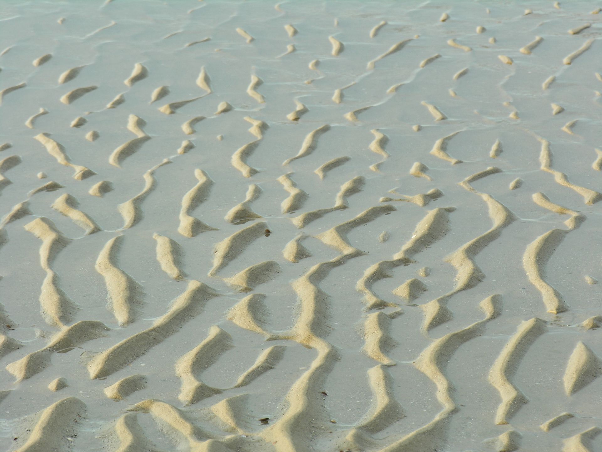 North Sea Seabed at low Tide