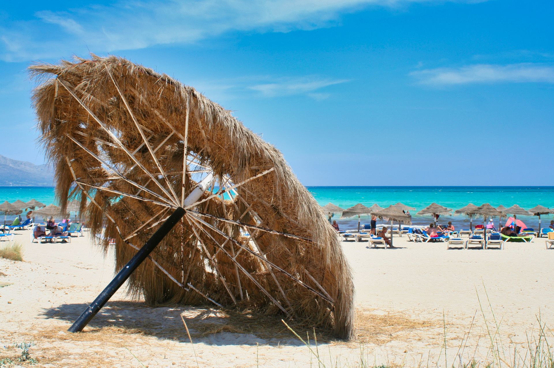 Spain - Mallorca - Playa del Muro - Fallen Parasol on the Beach