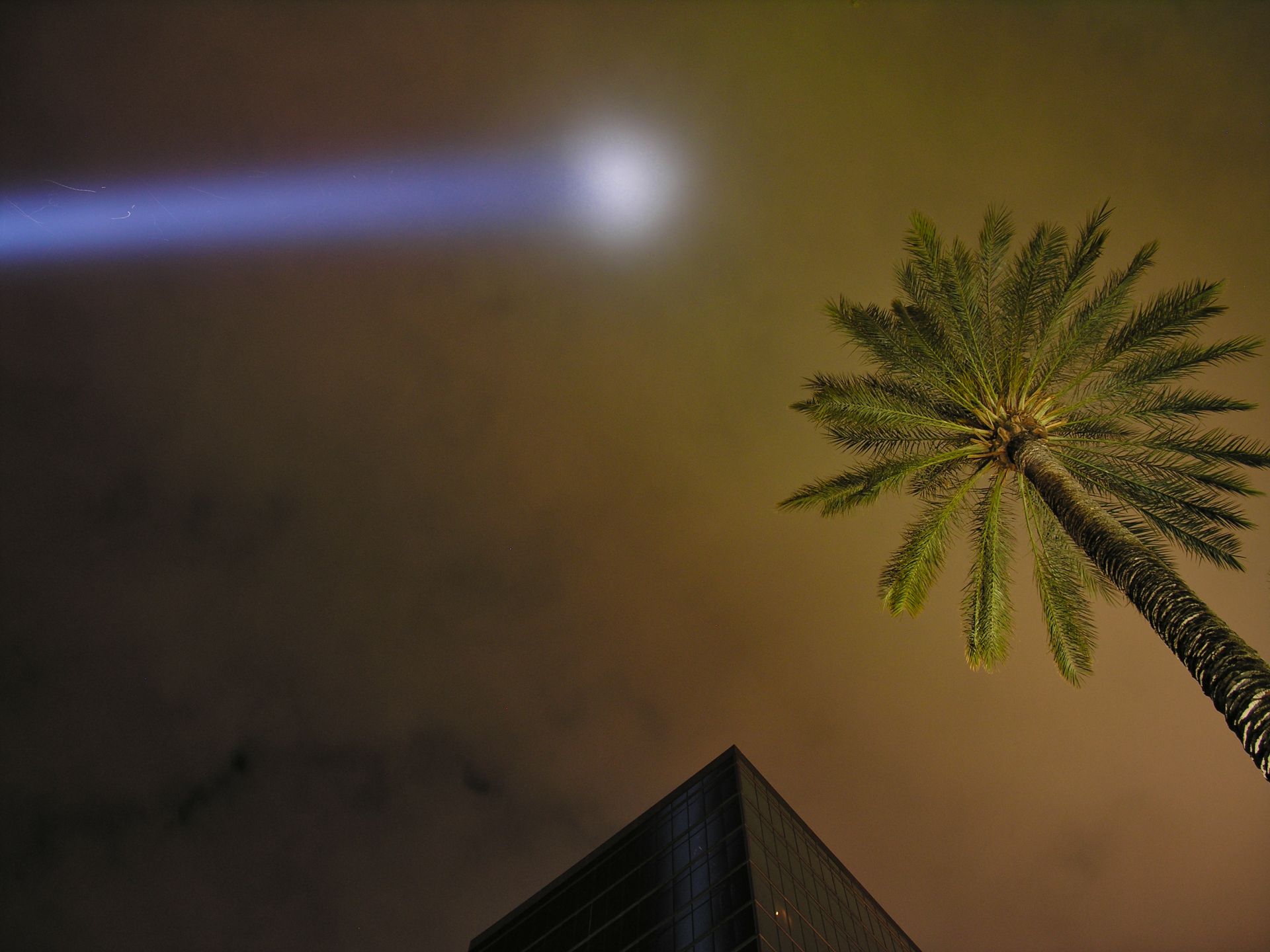 USA - Nevada - Las Vegas - Hotel Luxor with Light Beam in the Sky and Palm Tree